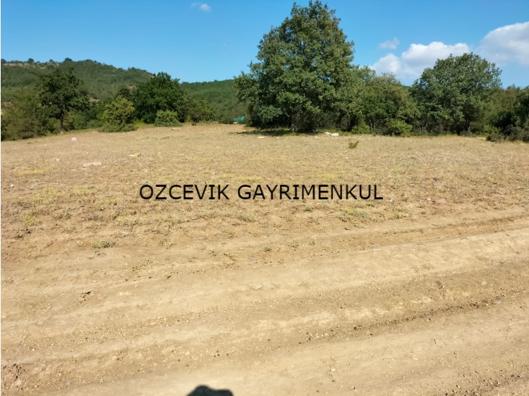 Sıcak Fırsat Sıcak Fırsat